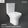 RAK-RESORT 60cm Rimless無圈孔分體座廁配油壓廁板 RAK-RESORT 60cm Rimless無圈孔分體座廁配油壓廁板